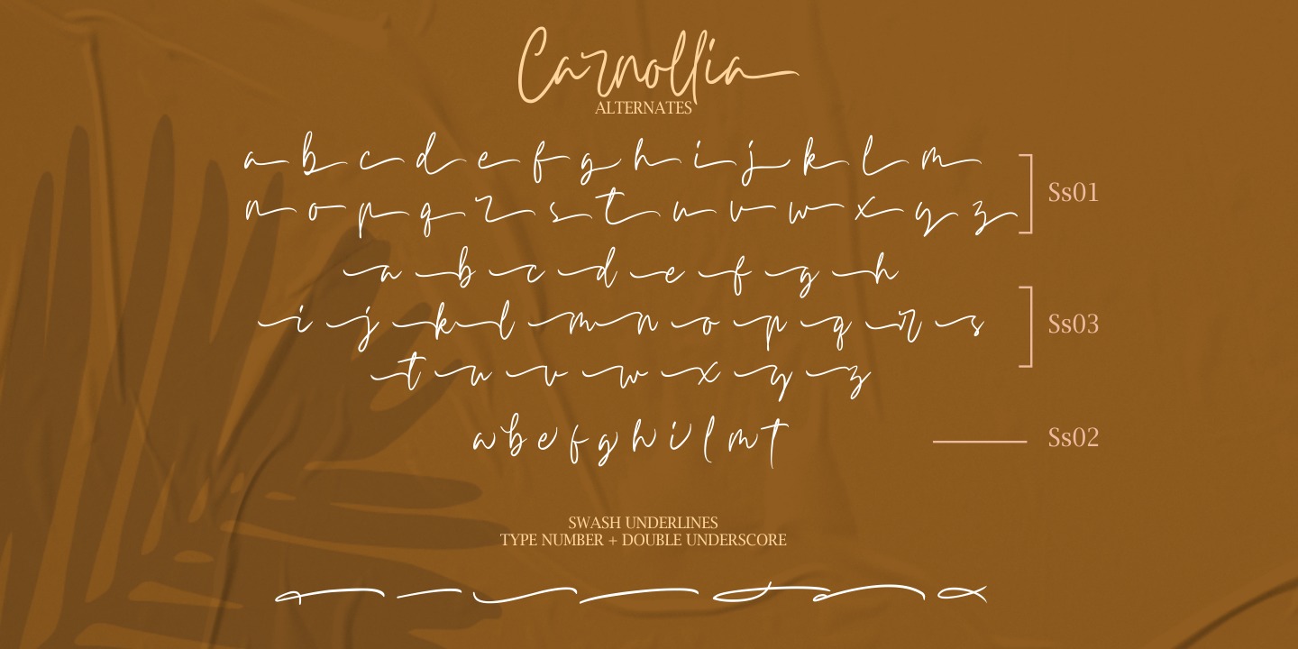 Carnollia Signature Regular Font preview